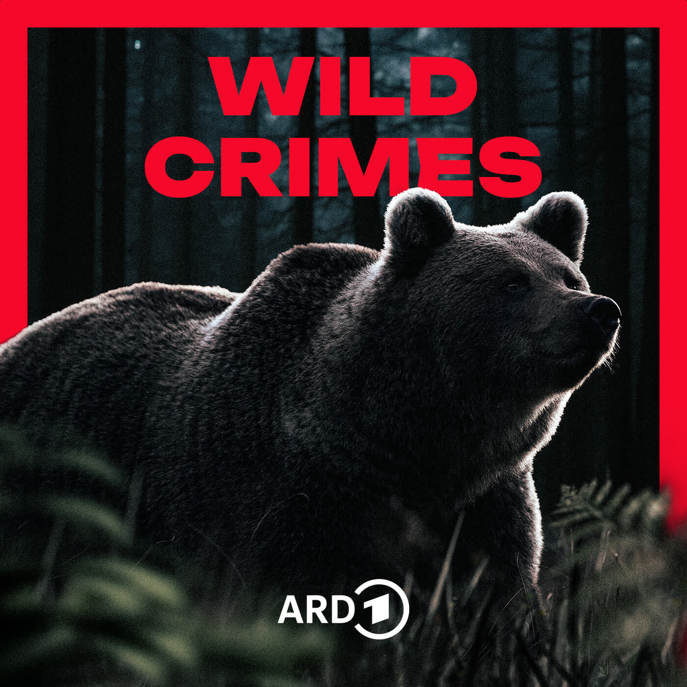 Cover des Podcasts